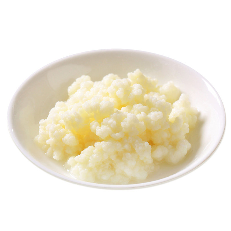 Kefir 开菲尔菌种 奶克菲农技服务