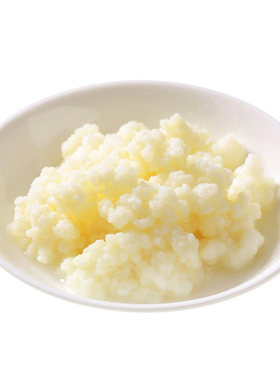 Kefir 开菲尔菌种 奶克菲尔粒 酸奶常温发酵菌非雪莲藏灵菇
