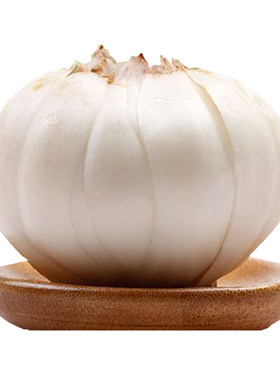 兰州甜百合新鲜食用级大果土特产