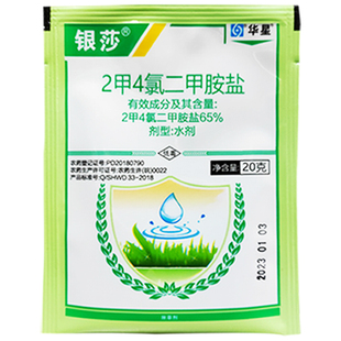 节节草专杀套装2甲4氯钠二甲铵盐安透助剂节节草笔筒草除草剂烂根