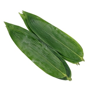 粽叶新鲜粽子叶野生箬竹叶100片包粽子的叶子粽叶干大号嘉兴棕叶