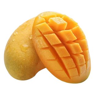 海南小台农芒果苗正宗嫁接芒果树苗当年结果阳台庭院盆栽芒果树苗