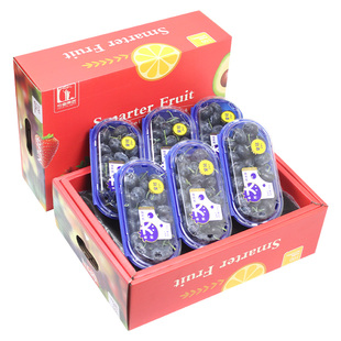 顺丰包邮4/8盒*200g礼盒装24mm巨无霸蓝莓当季限量特大果新鲜水果