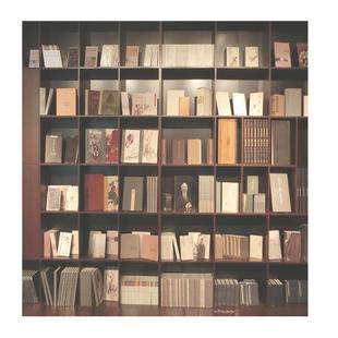 爆款新款抖音男女主播背景布直播间书房书柜办公室装饰高清背景墙