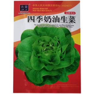耐寒冬春适播蔬菜种子菜籽辣椒韭菜小葱萝卜白菜菠菜阳台盆栽庭院