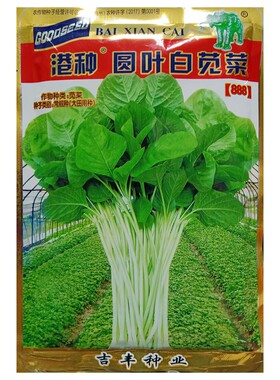 象牌港种圆叶白苋菜种子250克
