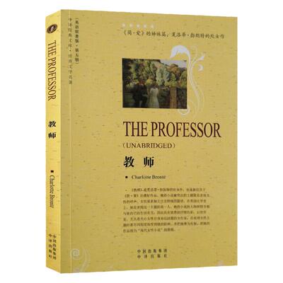 教师英文原版小说全英文书籍