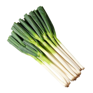 山东正宗章丘铁杆大葱新鲜10斤蔬菜批发甜葱蘸酱嫩葱当季新葱整箱