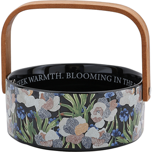 法式水果盘客厅家用零食盘高级感迁乔新居果盘精致陶瓷手提水果篮