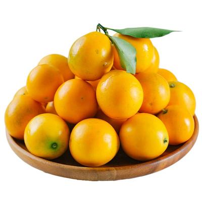 当天采摘，纯甜多汁，正宗小金桔