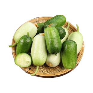 空中花园无土栽培蔬菜种子