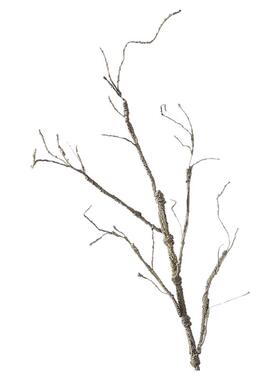 仿真枯枝插花装饰发泡树干