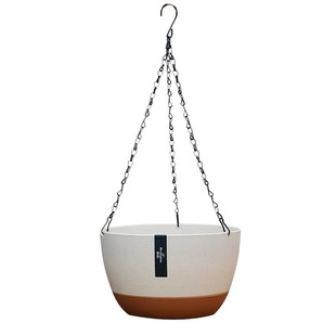 吊兰花盆吊篮悬挂式专用垂吊植物球兰矮牵牛霸王蕨卷叶牡丹大吊盆