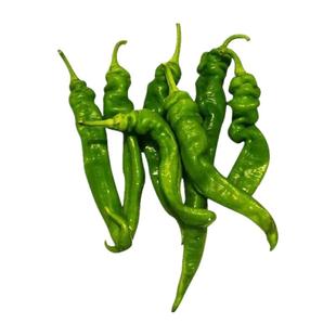 蔬菜种子大叶香菜四季小香葱播阳台盆栽种植辣椒番茄秋种籽子大全