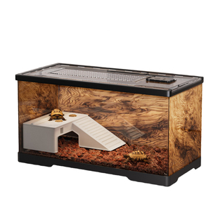 乌龟发色盒冬眠箱龟苗饲养盒生态缸养龟箱乌龟专用缸爬宠饲养箱子