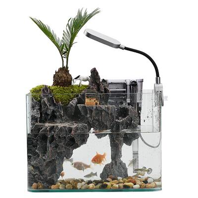 鱼缸过滤循环水绿植盆景赤楠铁树