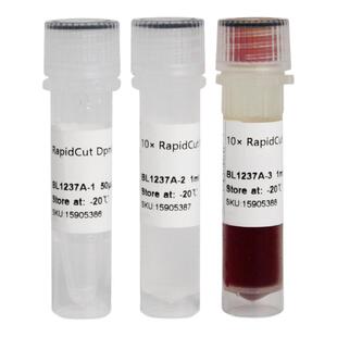 白鲨 Biosharp BL1237A RapidCut DpnI 快速限制性内切酶 50T