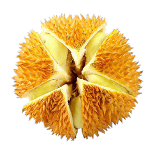 泰国金枕榴莲液氮冷冻保鲜整个自然树熟无需催熟