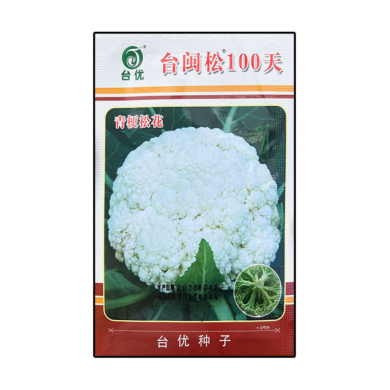 台闽松100天松花菜杂交菜种高产