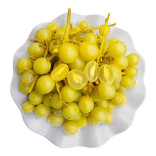 广西灵山特产酸野水果新鲜腌制酸果沙梨李子葡萄芒果腌萝卜芒果片