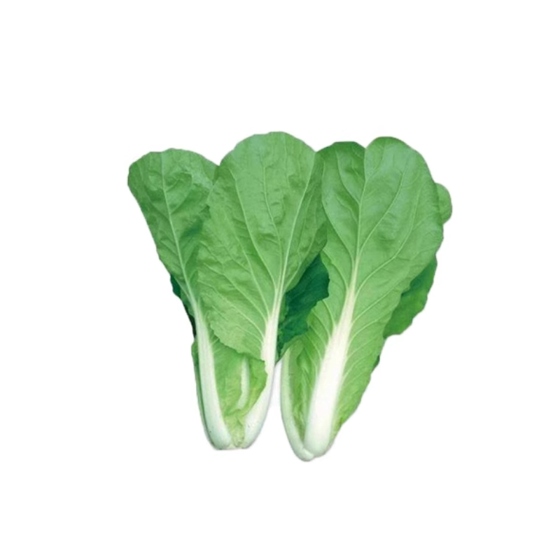 秋冬季蔬菜种子大全菠菜香菜小白菜种籽四季荠菜芹葱韭菜籽种孑籽