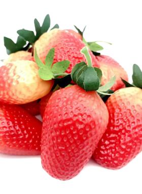草莓片塑料样板房橱柜居家模型