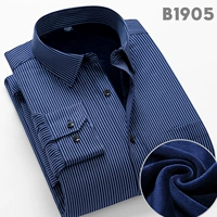 B1905 плюс бархатный