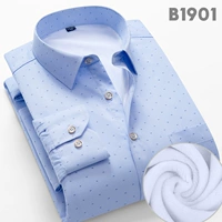 B1901 плюс бархатный