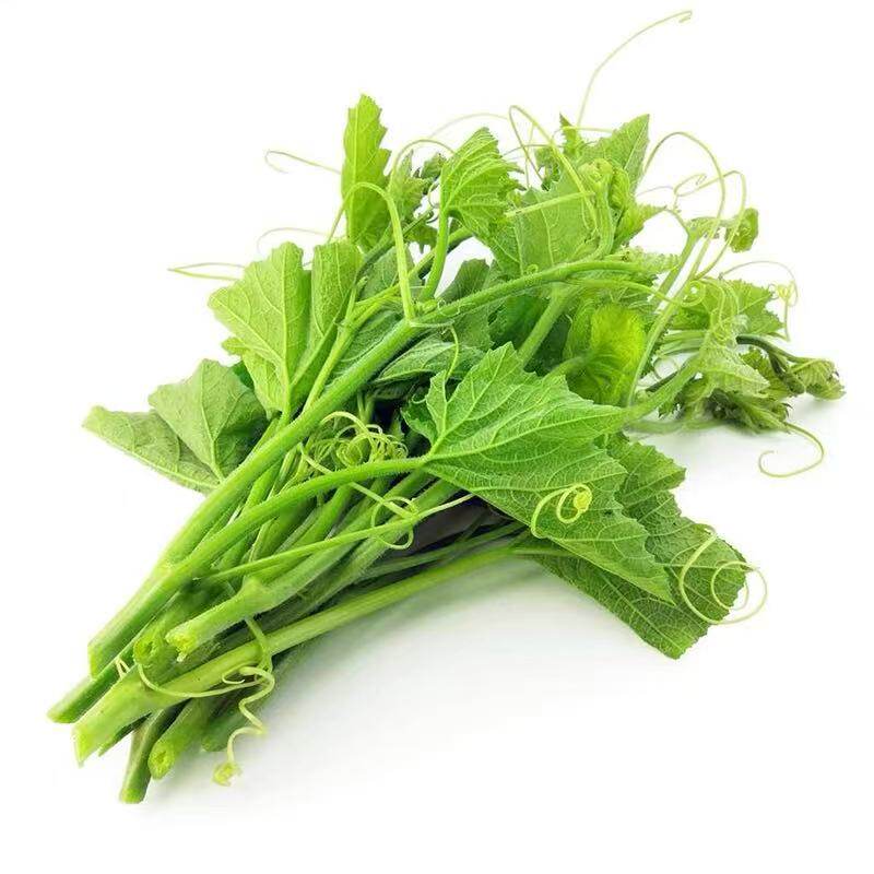 脆嫩养生南瓜苗种子专吃花茎嫩叶藤蔬菜种子 清爽可口南瓜头高产