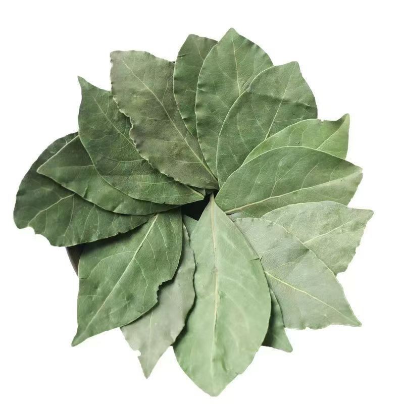 广西头茬香叶26年新货净重香料无熏硫散装商用卤肉商用批发调味料