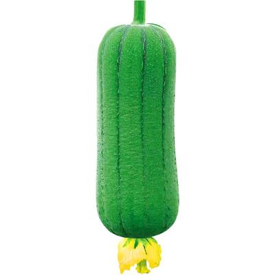 蔬菜秋季耐热庭院爬藤丝瓜种子