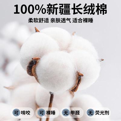 纯棉床笠单件100全棉床罩2025新款四季通用防尘床垫套全包保护罩