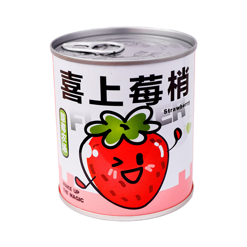 幼儿园六一儿童节礼物种植罐头小创意礼盒/礼品套组