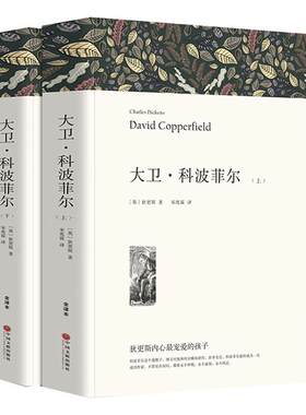大卫科波菲上下册中文高中生正版