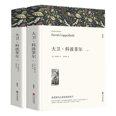 大卫科波菲上下册中文高中生正版