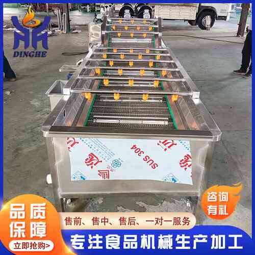 果蔬气泡清洗机 酱腌菜喷淋清洗机水果类气泡清洗线 洗菜机