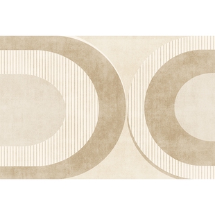 地毯客厅2025新款卧室轻奢高级沙发地垫房间沙发茶几毯耐脏易打理