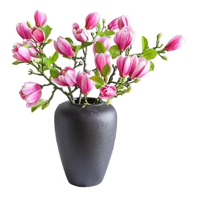 秉泽玉兰花室内四季遇水开花