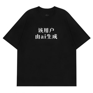该用户由ai生成趣味文字印花短袖t恤创意小众设计感文化衫T恤男女