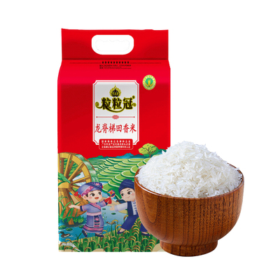 广西龙脊梯田猫牙香米长粒香大米2025年新米象牙米稻香丝苗米真空