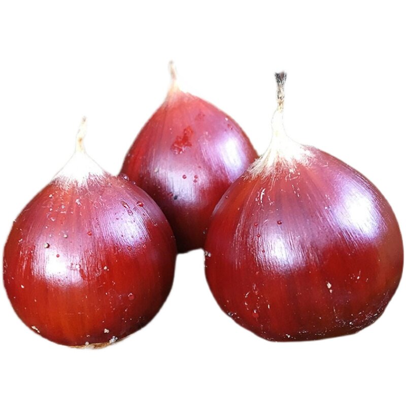 2025年新鲜生板栗栗子锥栗建瓯油栗圆栗农家现摘生栗子毛栗子锥形