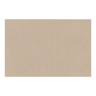 2025卧室床边地毯客厅简约侘寂风地垫防水耐脏飘窗垫子防滑房间毯