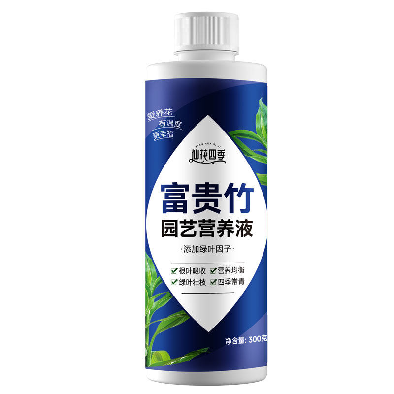 仙花四季富贵竹园艺营养液