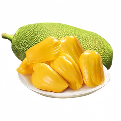 广西四季菠萝蜜树苗嫁接菠萝蜜苗