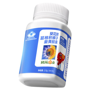 葵花药业护肝片葛根枳子姜黄胶囊辅助保护化学肝损伤官方旗舰店