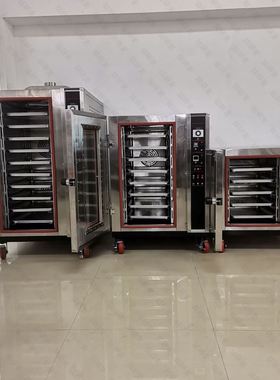 5盆8盆10盆立式单门烤箱 电热风燃气热风循环烤箱 Baking oven