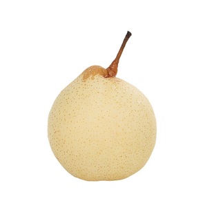 河北鸭梨正宗赵县鸭梨10斤采摘新鲜梨子当季水果现摘现发整箱包邮