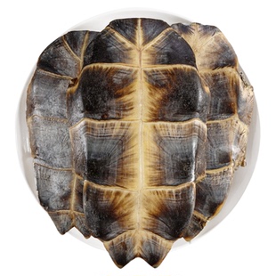 龟板中药材250g500克正品旗舰店龟板粉龟板壳生旱龟板药用醋龟板