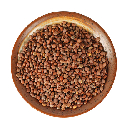 中药材特级野生莱菔子500g正品