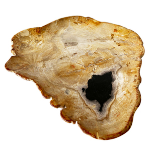 木化石果盘硅化木茶盘石化木托盘摆盘餐盘钥匙收纳盘石头装饰盘子